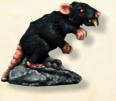 Three Giant Rats. Giant Rats feature heavily in Scenario 4, Rats in the Wall, in Into The Breeding Pits, so we felt we needed to make sure you had models to play it. These are metal models of Giant Rats.