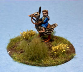 Hairfoot Jouster riding a Goose mounted on a 25mm base and her 60mm jousting base.