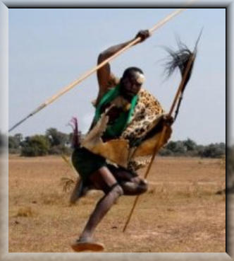 Chiefs would substitute lion or leopard skins for the normal brown cow hide, and might add a ruff around the neck made from the mane of a lion or the greyish coloured hair of a baboon, and smaller black and white striped zebra-mane ruffs on the arm