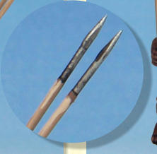 Inset shows spears tips and the shaft in detail.